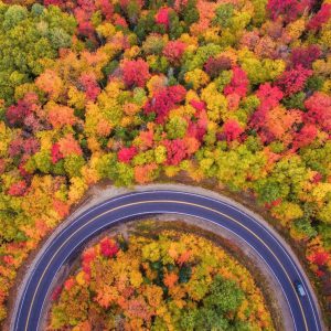 اگر جزء افرادی باشید که پاییز را پادشاه فصلها میدانند، با اولین نسیم خنک در روزهای آخر شهریور کیف میکنید و حال و هوای سفر به سرتان میزند. در صورتی که این فصل سرد و بارانی مورد علاقهتان نباشد، منکر زیباییهای شگفتانگیز و طبیعت مجذوبکننده این سه ماه سال نمیتوانید شوید. فصل پاییز یکی از بهترین مواقع برای سفر است؛ چراکه شهرها از شلوغی مسافران تابستانی دور شده و رفت و آمد و هزینهها هم اقتصادیتر تمام میشود. اما در پاییز کجا سفر کنیم؟ تعداد مقاصد و شهرهای ایران برای مسافرت در پاییز کم نیستند. برای همین لیستی از بهترینهای آن را برایتان تهیه کردهایم.